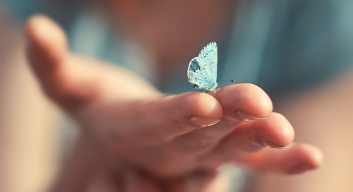 Tierkommunikation - Telepathie zwischen Mensch und: Foto: © Serhii_Brovko / shutterstock / #1126007870